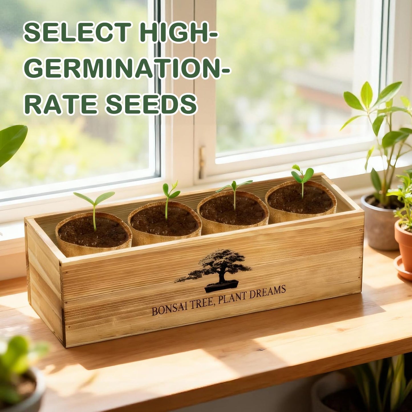 Bonsai Tree Kit, Complete Bonzai Tree Starter Kits with Tools, Valentines Day Gifts for Her Him, Unique Christmas Birthday Gardening Gifts for Women Mom Men Grandkids, Crafts Hobby Kits