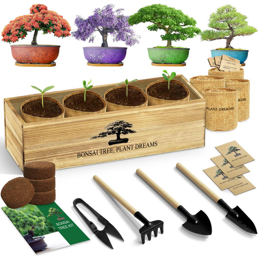 Bonsai Tree Kit, Complete Bonzai Tree Starter Kits with Tools, Valentines Day Gifts for Her Him, Unique Christmas Birthday Gardening Gifts for Women Mom Men Grandkids, Crafts Hobby Kits